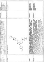 Figure imgf000019_0001