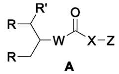 Figure imgf000007_0001