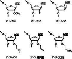 Figure BPA0000293692940000391