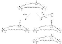 Figure imgf000166_0001