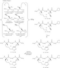 Figure US10308699-20190604-C00048