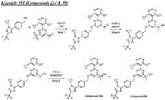 Figure imgf000445_0001