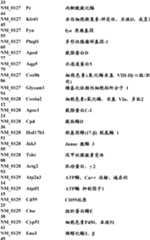 Figure BDA0000057170160001411