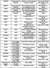 Figure imgf000299_0001