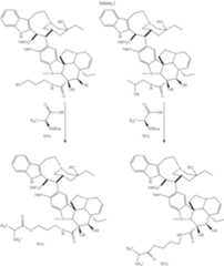 Figure US09808528-20171107-C00182