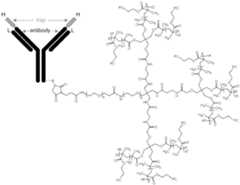 Figure imgf000304_0001