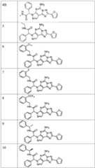 Figure FDA0003465902320000081