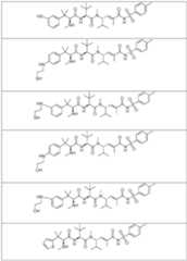 Figure imgf000202_0001