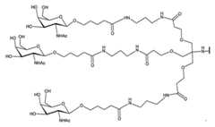 Figure 2023012548000146