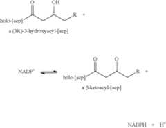 Figure US08133704-20120313-C00031