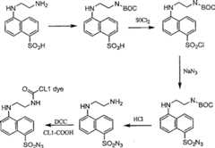 Figure A20058003441900191