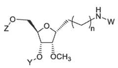 Figure imgf000024_0004