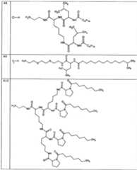 Figure imgf000079_0001