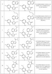 Figure imgf000031_0001