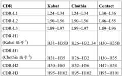 Figure BDA0003236459460000261