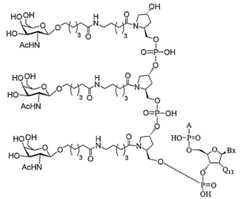 Figure 2023113843000490