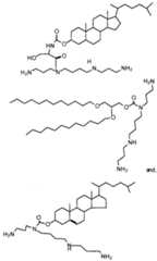 Figure imgf000010_0001