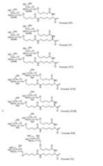 Figure imgf000080_0001