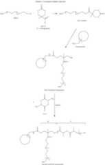 Figure US08226985-20120724-C00017