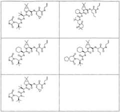 Figure imgf000302_0001