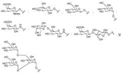 Figure 112016114379466-pct00081