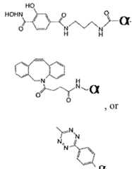 Figure imgf000461_0001