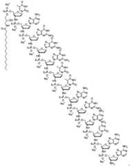 Figure BDA0001401376620000561