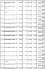 Figure imgf000567_0001