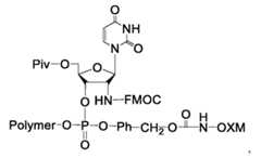 Figure imgf000238_0002
