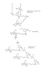 Figure imgf000166_0001