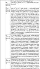 Figure BDA0004033970230005601