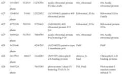 Figure US09029523-20150512-C00016