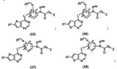 Figure 112007011503269-PCT00084