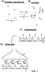 Figure imgf000061_0001