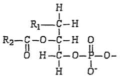 Figure imgf000083_0001