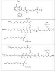 Figure 112019068966852-pct00035