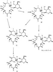 Figure imgf000093_0001