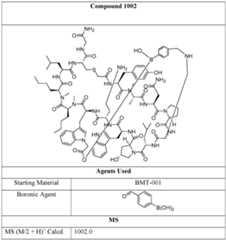 Figure imgf000035_0002