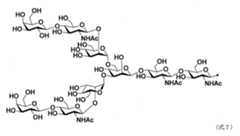 Figure JPOXMLDOC01-appb-C000174