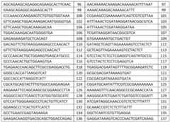 Figure imgf000037_0001