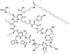 Figure imgf000149_0001