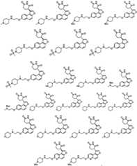 Figure FDA0003480931620000101