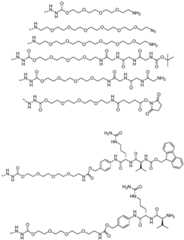 Figure FDF0000007358010000031