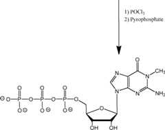 Figure AU2019202835A1_D0311