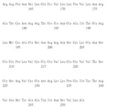 Figure 105135184-A0305-02-0212-158