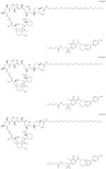 Figure US11364300-20220621-C00458