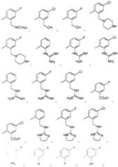 Figure imgf000020_0001