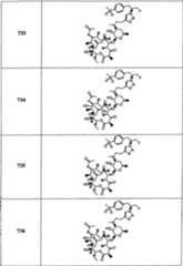 Figure A20058001353203561