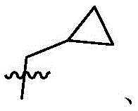 Figure BDA0003361869440000071