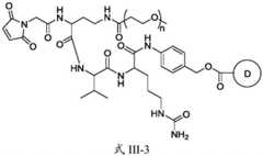 Figure FDA0003674984860000351